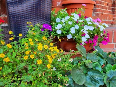 Ferienwohnung für 2 Personen (43 m²) in Penkow 2/10