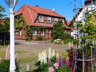 Ferienwohnung für 4 Personen (70 m²) in Zingst 1/10