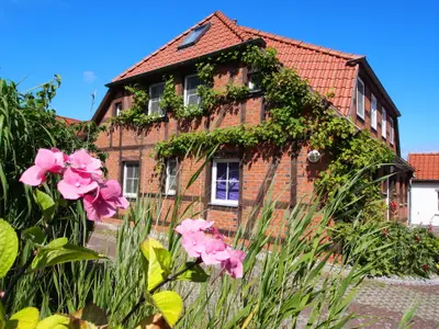 Ferienwohnung für 4 Personen (70 m²) in Zingst 10/10