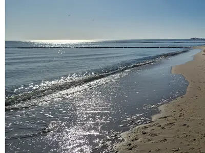 Ferienwohnung für 4 Personen (55 m²) in Kölpinsee (Usedom) 8/10