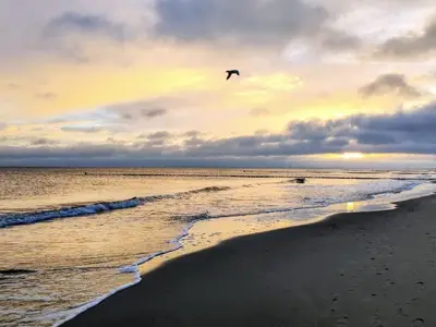 Ferienwohnung für 4 Personen (55 m²) in Kölpinsee (Usedom) 2/10
