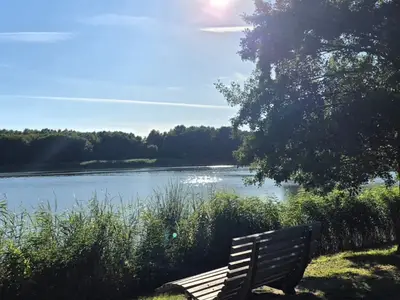 Ferienwohnung für 4 Personen (55 m²) in Kölpinsee (Usedom) 9/10