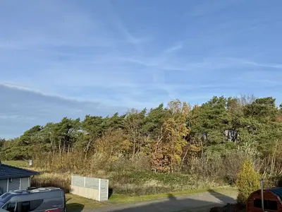 Ferienwohnung für 3 Personen (50 m²) in Dierhagen (Ostseebad) 7/10