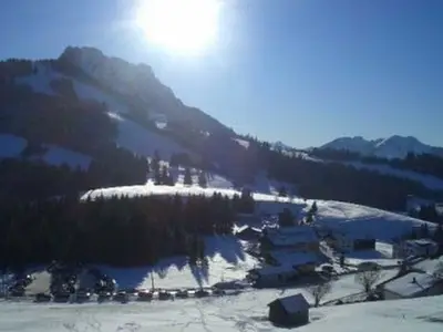 Ferienwohnung für 4 Personen (56 m²) in Jungholz 8/10