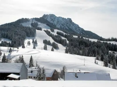 Ferienwohnung für 4 Personen (56 m²) in Jungholz 9/10