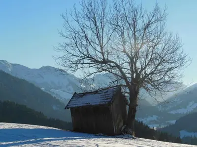 Ferienwohnung für 4 Personen (56 m²) in Jungholz 10/10
