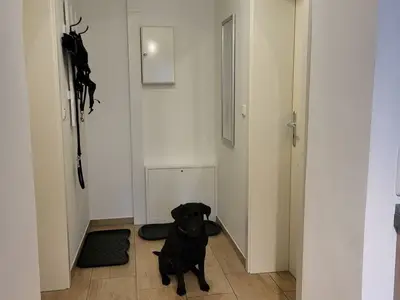 Ferienwohnung für 4 Personen (50 m²) in Altenkirchen (Rügen) 5/10