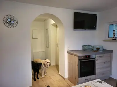 Ferienwohnung für 4 Personen (50 m²) in Altenkirchen (Rügen) 8/10