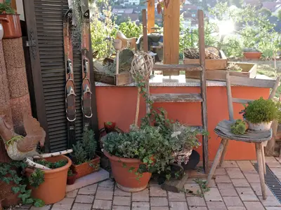 Im Paradies-Außenbereich