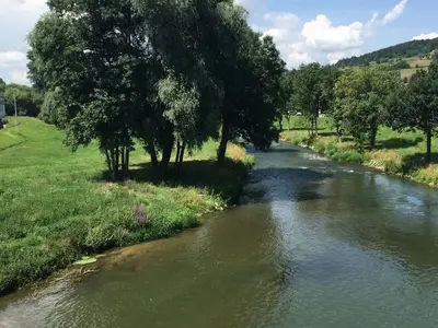 Ferienwohnung für 3 Personen (46 m²) in Igersheim 9/10