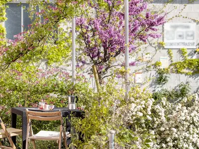 Ferienwohnung für 3 Personen (38 m²) in Serra de' Conti 7/10