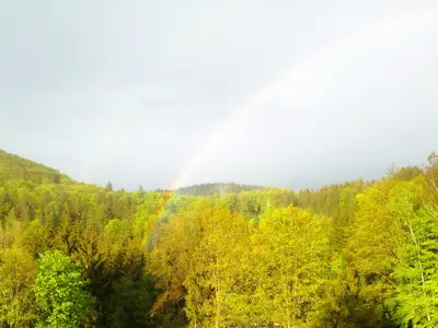 Ferienwohnung für 4 Personen (53 m²) 10/10