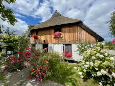 Ferienwohnung für 4 Personen (70 m²) in Pruchten 3/10