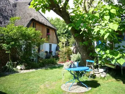 Ferienwohnung für 4 Personen (70 m²) in Pruchten 5/10