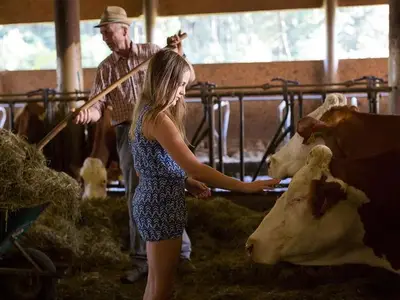Ferienwohnung für 5 Personen (65 m²) in Ossiach 5/10