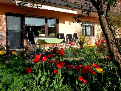 Ferienwohnung für 4 Personen (94 m²) in Neckargemünd 2/10