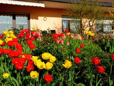 Ferienwohnung für 4 Personen (94 m²) in Neckargemünd 3/10
