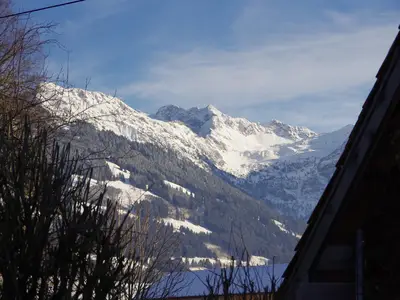 Blick auf die Allgäuer Alpen