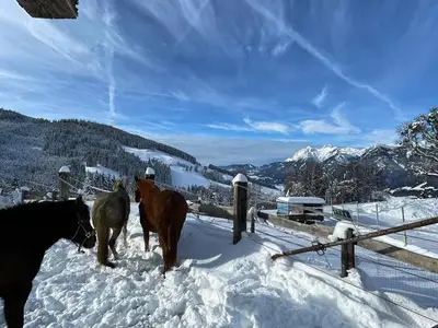 Hirzhof SO Ski&Bike Ridehaus