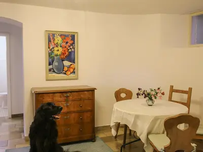 Hunde in der Ferienwohnung willkommen!