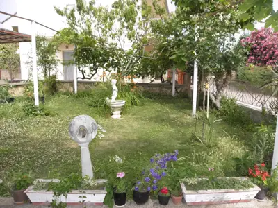 garden