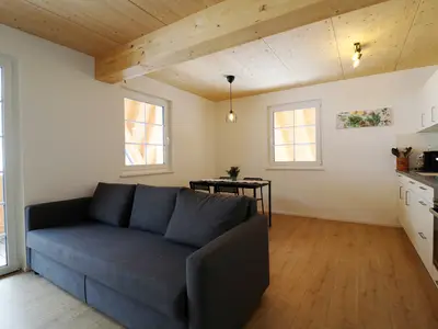 Ferienwohnung für 4 Personen (50 m²) in Sankt Blasien 1/10