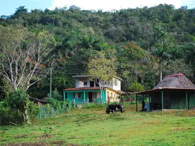 Ferienwohnung für 4 Personen (18 m²) in Viñales 9/10