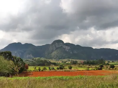 Ferienwohnung für 4 Personen (18 m²) in Viñales 10/10