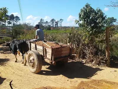 Ferienwohnung für 4 Personen (20 m²) in Viñales 8/10