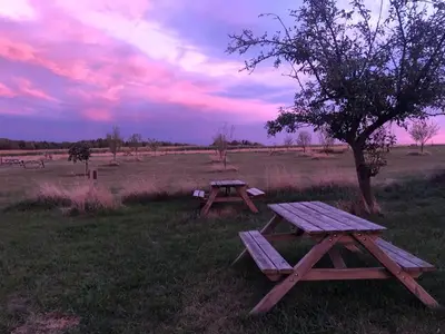 Ferienwohnung für 2 Personen (40 m²) in Löbejün 6/10