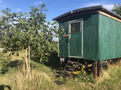 Ferienwohnung für 2 Personen (40 m²) in Löbejün 9/10