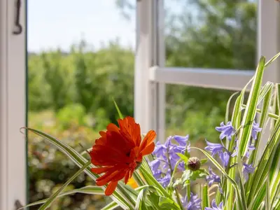Ferienwohnung für 2 Personen in Pellworm 2/10