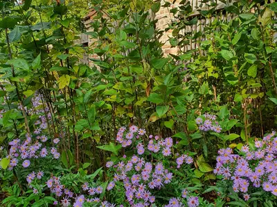 Ferienwohnung für 2 Personen (51 m²) in Stülpe 10/10