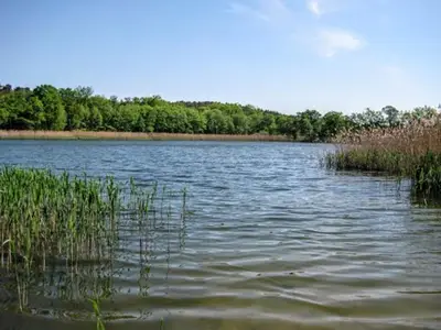 Ferienwohnung für 2 Personen (66 m²) in Stülpe 10/10