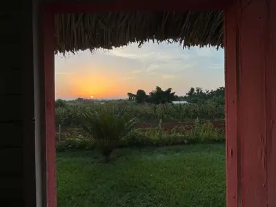 Ferienwohnung für 4 Personen (16 m²) in Viñales 10/10