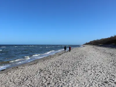 Ferienwohnung für 4 Personen (80 m²) in Harkensee 10/10