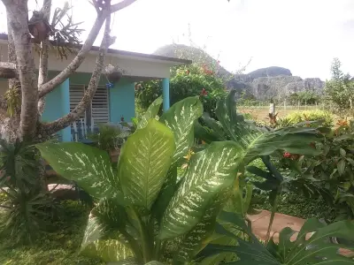 Ferienwohnung für 4 Personen (20 m²) in Viñales 8/9