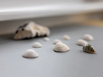 Ferienwohnung für 4 Personen (43 m²) in Schönberg 7/10