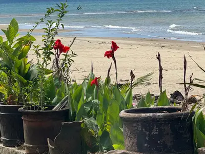 Ferienwohnung für 5 Personen (70 m²) in Sipalay 7/10