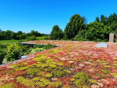 Ferienwohnung für 5 Personen (76 m²) in Niesgrau 2/10
