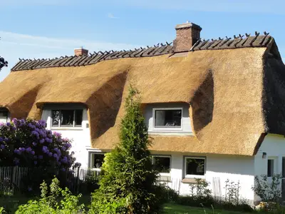 Ferienwohnung für 5 Personen (76 m²) in Niesgrau 8/10