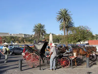 Ferienwohnung für 3 Personen (20 m²) in Havanna 4/10