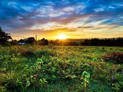 Ferienwohnung für 4 Personen (16 m²) in Viñales 8/10
