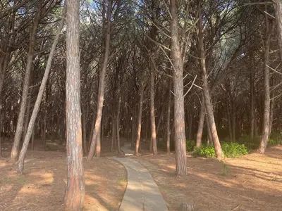 Ferienwohnung für 4 Personen (60 m²) in Contrada Difesa II 5/10