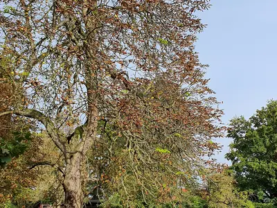 Ferienwohnung für 3 Personen (73 m²) in Stülpe 6/10