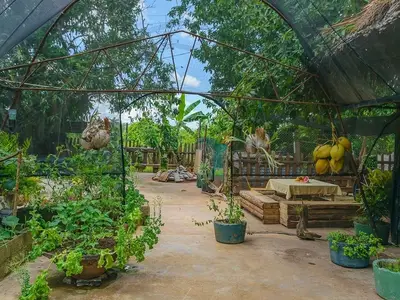 Ferienwohnung für 3 Personen (18 m²) in Cayo Jutías 5/10