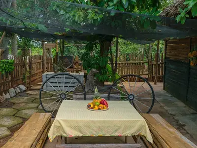 Ferienwohnung für 3 Personen (18 m²) in Cayo Jutías 7/10