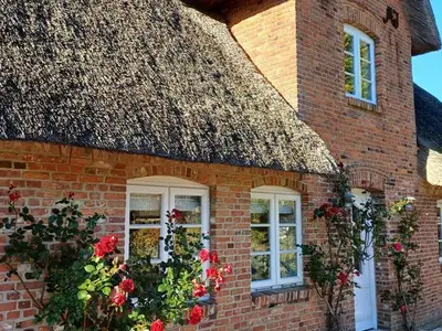 Ferienwohnung für 4 Personen (55 m²) in Wrixum 1/10