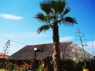 Ferienwohnung für 5 Personen (65 m²) in Néa Kallikrátia 7/10