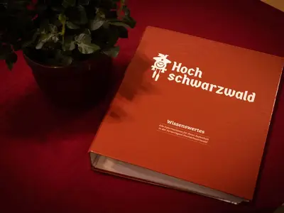 Ferienwohnung für 5 Personen (50 m²) in Sinsenbach 7/10